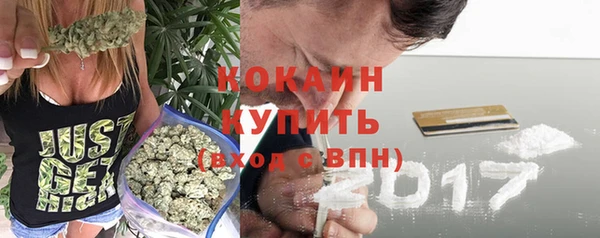 меф Пересвет