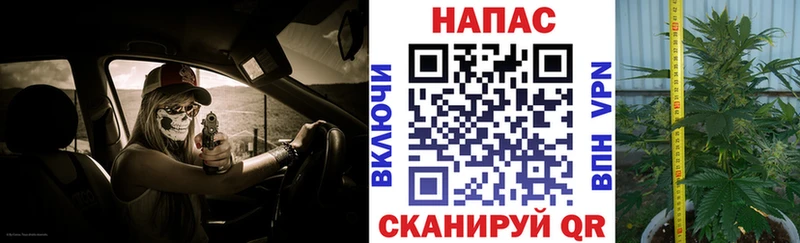 МАРИХУАНА LSD WEED  где можно купить наркотик  hydra сайт  Берёзовский 
